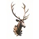 Eliassen Deer Kopf großes Plus Eliassen Deer Kopf großes Plus