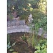 Dragonstone Gartenstatue Gnom Fantasie 44 Dragonstone Gartenstatue Gnom Fantasie 44