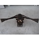 Eliassen Bronzen beeld Jumpkikker XXL Eliassen Bronzen beeld Jumpkikker XXL