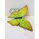 Eliassen Bronze yellow butterfly Eliassen Bronze yellow butterfly