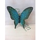 Eliassen Bronze green butterfly Eliassen Bronze green butterfly