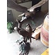 Eliassen Bronzen beeld papegaaien op een boom Eliassen Bronzen beeld papegaaien op een boom