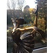 Eliassen Beeld brons ballerina 65cm Eliassen Beeld brons ballerina 65cm