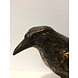 Bronze crow on foot Bronze crow on foot