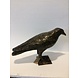 Bronze crow on foot Bronze crow on foot