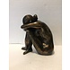Bronzen verdrietig meisje Bronzen verdrietig meisje