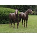 Bronzen koppel paarden Bronzen koppel paarden