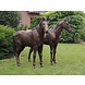 Bronzen koppel paarden Bronzen koppel paarden
