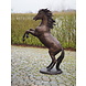 Bronzen steigerend paard Bronzen steigerend paard