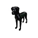 Eliassen Beeld Deense dog levensgroot Eliassen Beeld Deense dog levensgroot