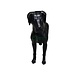 Eliassen Beeld Deense dog levensgroot Eliassen Beeld Deense dog levensgroot