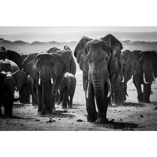 Glass painting Elephants herd 110x160 cm Glass painting Elephants herd 110x160 cm