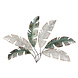 3D wall decoration 6 Feathers 3D wall decoration 6 Feathers