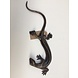 Bronze Salamander Bronze Salamander