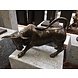 Bronze bull Bronze bull