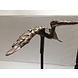 Bronzen tuinsteker Ooievaar Bronzen tuinsteker Ooievaar