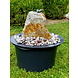 Brunnen Set aus Bronzestein mit Vogel Brunnen Set aus Bronzestein mit Vogel