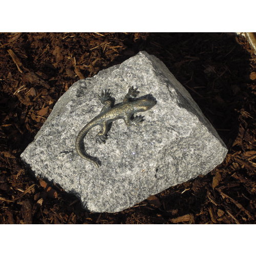 Bronze lizard on granite rock