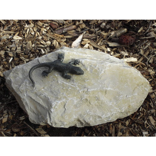 Bronze lizard on rock