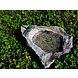 Insect watering hole with bronze dragonfly Insect watering hole with bronze dragonfly