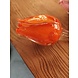 Blumenglas Tulpe Orange Blumenglas Tulpe Orange
