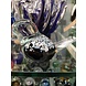 Beeld glas Vogel zwart 12cm Beeld glas Vogel zwart 12cm