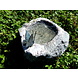 Insekten-Wasserstelle mit Bronze-Schmetterling Insekten-Wasserstelle mit Bronze-Schmetterling