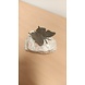 Bronzen beeld vlinder op steen Bronzen beeld vlinder op steen