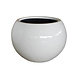 Bulb pot large round Codi white high gloss Bulb pot large round Codi white high gloss