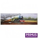 Schilderij 3D metaal Aanstormend Schilderij 3D metaal Aanstormend