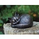 Beeld Poes slapend brons Beeld Poes slapend brons