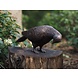Bild Taube pickt Bronze Bild Taube pickt Bronze