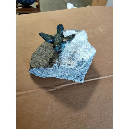 Bronzevogel breitete Flügel auf Stein aus