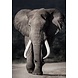 Glass painting 110x160 cm. Elephants Glass painting 110x160 cm. Elephants