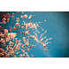 Glasschilderij Amandelbloesem 120x80cm. Glasschilderij Amandelbloesem 120x80cm.
