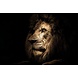 Glass painting lion dark Glass painting lion dark