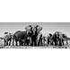 Glass painting 60x160 cm. Herd of elephants Glass painting 60x160 cm. Herd of elephants