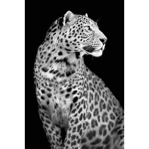 Glasmalerei 80x120 cm. Panther