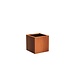 Adezz Plantenbak Cortenstaal Vierkant Andes 60x60x60cm Adezz Plantenbak Cortenstaal Vierkant Andes 60x60x60cm