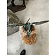 Draak op rots brons spuitfiguur Draak op rots brons spuitfiguur