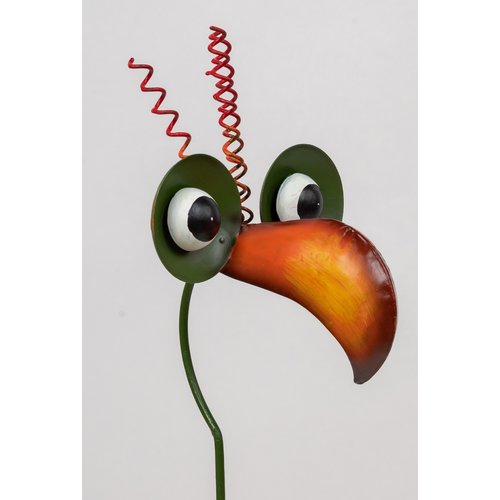 Garden plug Bird yellow beak Garden plug Bird yellow beak