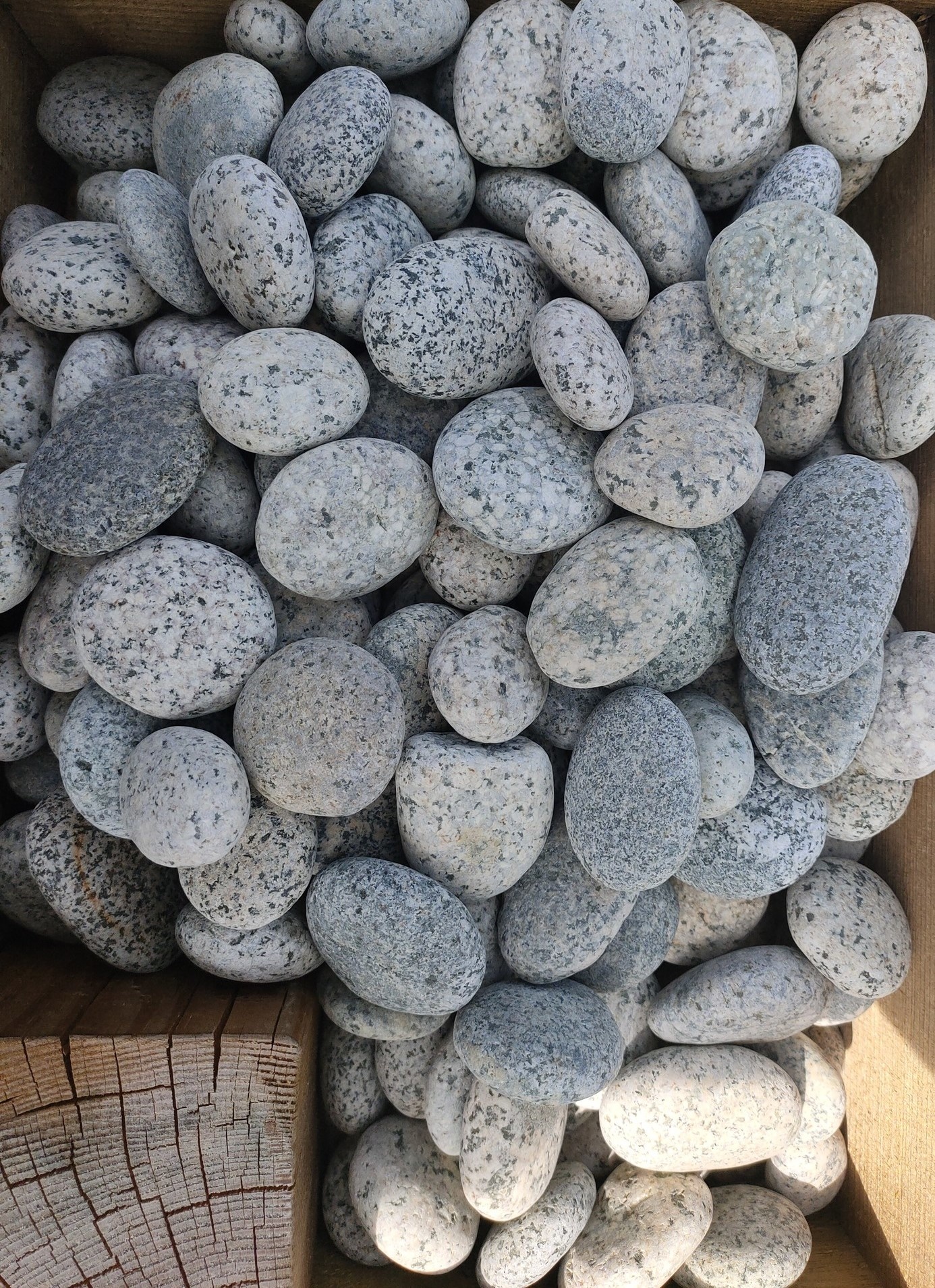 Weiße Zierkiesel flache 35cm gesprenkelte Kieselsteine Eliassen Home