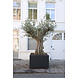 Adezz Plantenbak Aluminium Rechthoek Florida zonder bodem 200x100x60cm Adezz Plantenbak Aluminium Rechthoek Florida zonder bodem 200x100x60cm