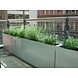 Adezz ADEZZ plantenbak Aluminium Rechthoek Florida 200x50x60cm Adezz ADEZZ plantenbak Aluminium Rechthoek Florida 200x50x60cm