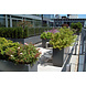 Adezz ADEZZ plantenbak Aluminium Rechthoek Florida 200x50x60cm Adezz ADEZZ plantenbak Aluminium Rechthoek Florida 200x50x60cm