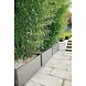 Adezz Plantenbak Aluminium Vierkant Florida met wielen 50x50x50cm Adezz Plantenbak Aluminium Vierkant Florida met wielen 50x50x50cm
