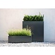 Adezz Plantenbak Aluminium Vierkant Florida met wielen 50x50x50cm Adezz Plantenbak Aluminium Vierkant Florida met wielen 50x50x50cm