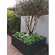 Adezz ADEZZ Plantenbak Aluminium Rechthoek Florida 150x50x60cm Adezz ADEZZ Plantenbak Aluminium Rechthoek Florida 150x50x60cm