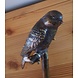 Bronze garden plug Merel on branch Bronze garden plug Merel on branch