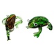 Glass Frog Glass Frog